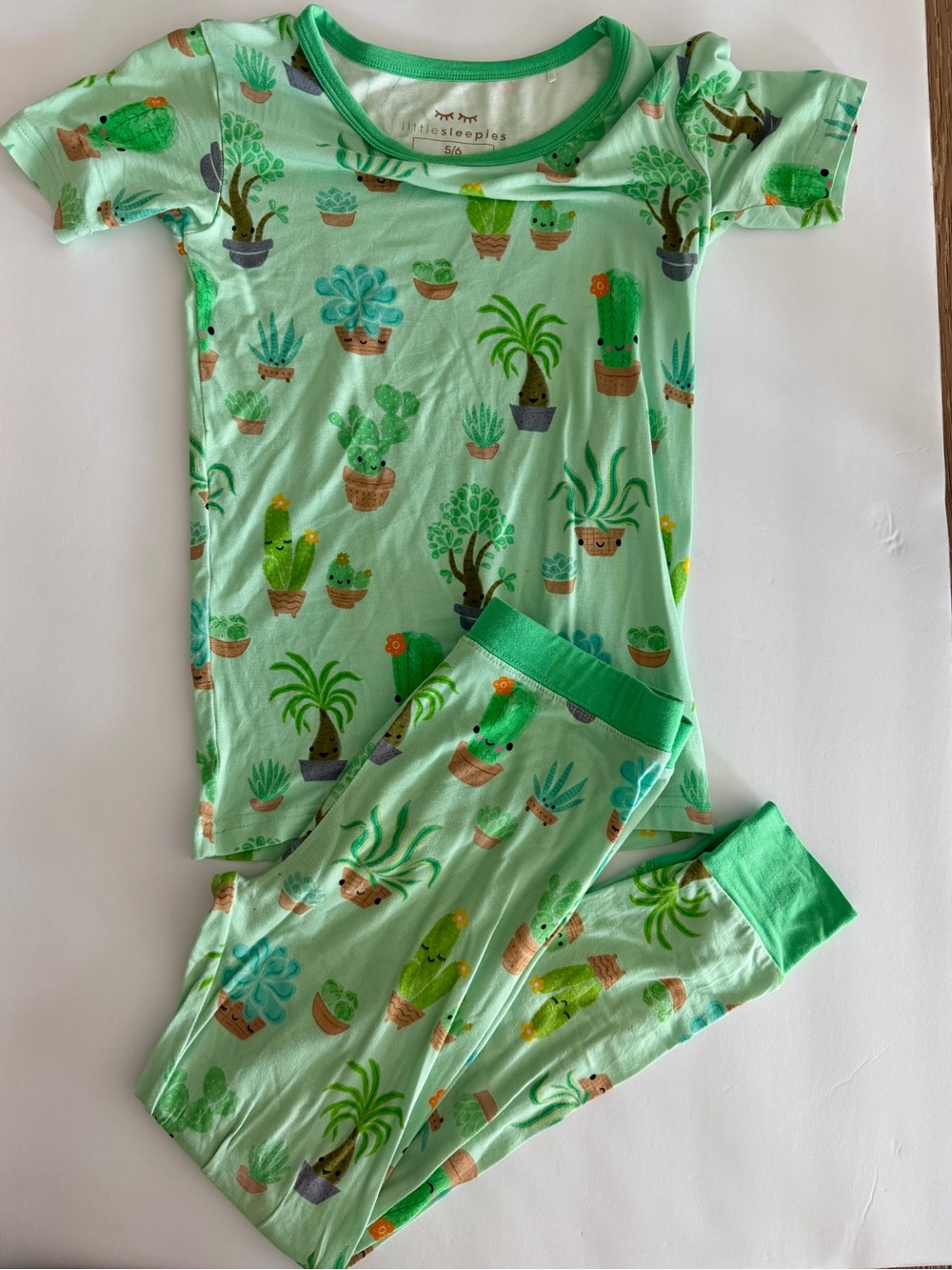Little Sleepies Succulent Love Short Sleeve Shirt and Pants Pajama Set 5/6 GUC